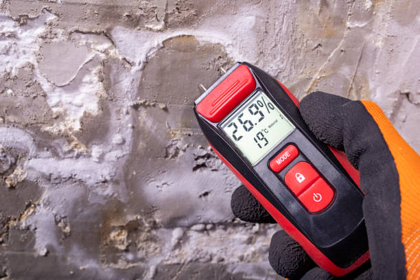 Best Emergency Mold Removal  in Salem, MA